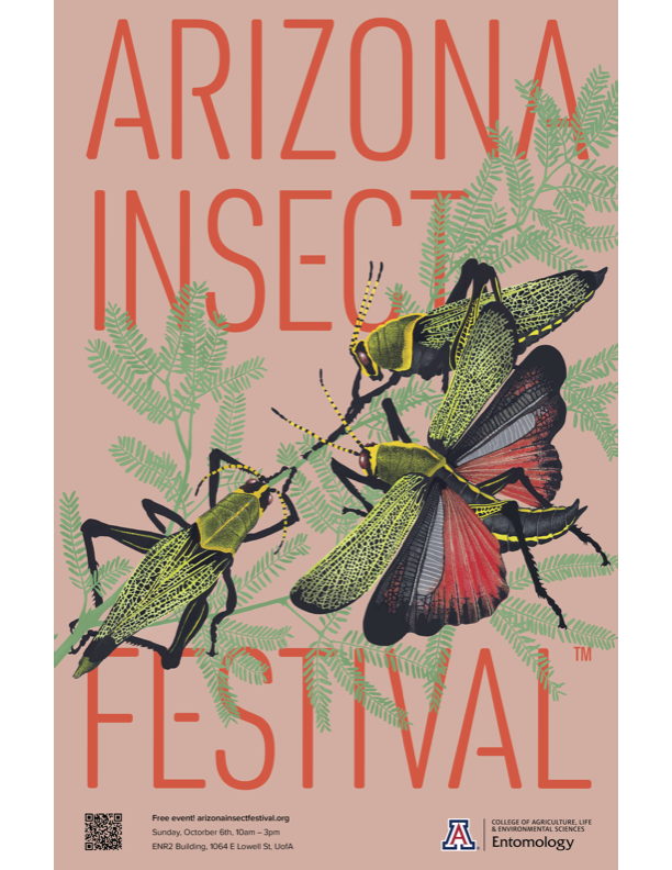 bug-festival
